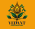 vedant (1)